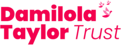 Damilola Taylor Trust